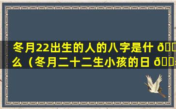 冬月22出生的人的八字是什 🐘 么（冬月二十二生小孩的日 🌻 子好不好）